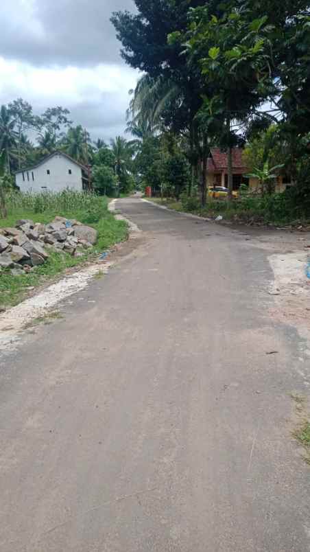 rumah dan tanah luas 5200m di wiyono gedong tataan