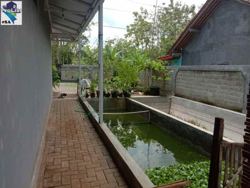 rumah kampung nyaman asri di desa karang nanas