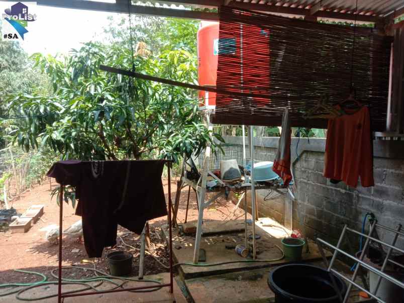 rumah kampung nyaman asri di desa karang nanas