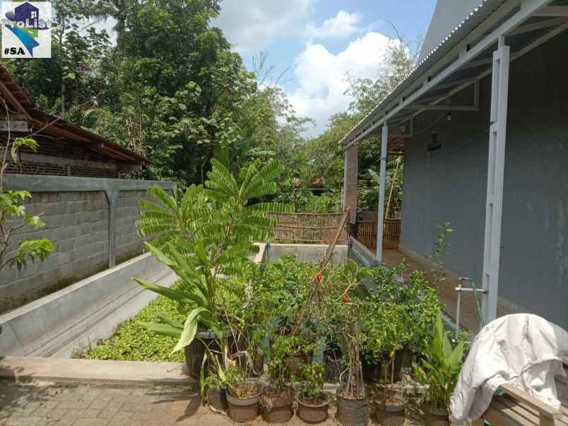 rumah kampung nyaman asri di desa karang nanas