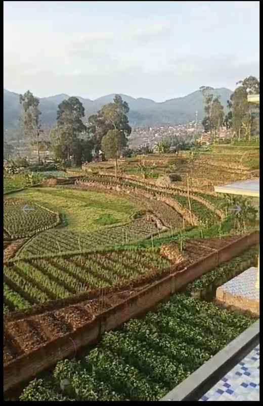 rumah villa ciwidey kebun stroberi