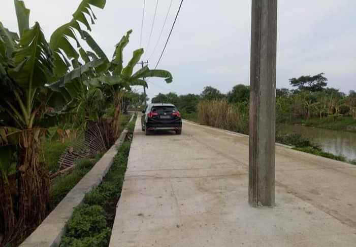 tanah 100 hektar muaragembong bekasi