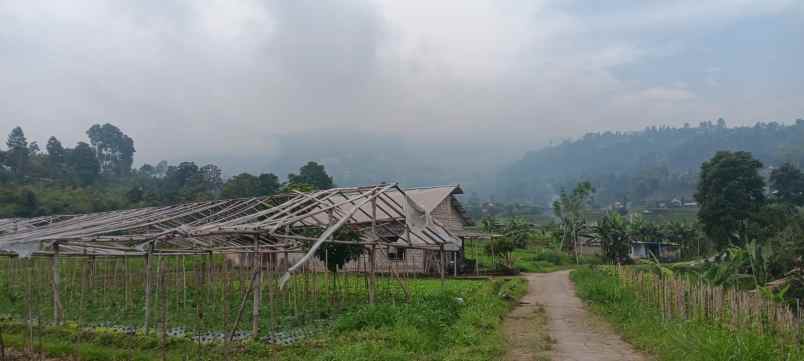 tanah 1000m udara dingin kawasan wisata ngargoyoso