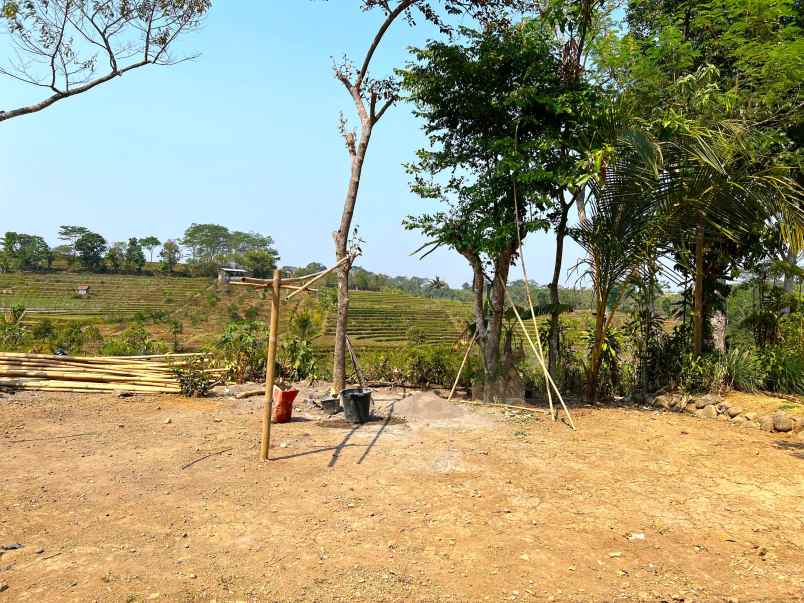 tanah 500m view sawah karangpandan karanganyar