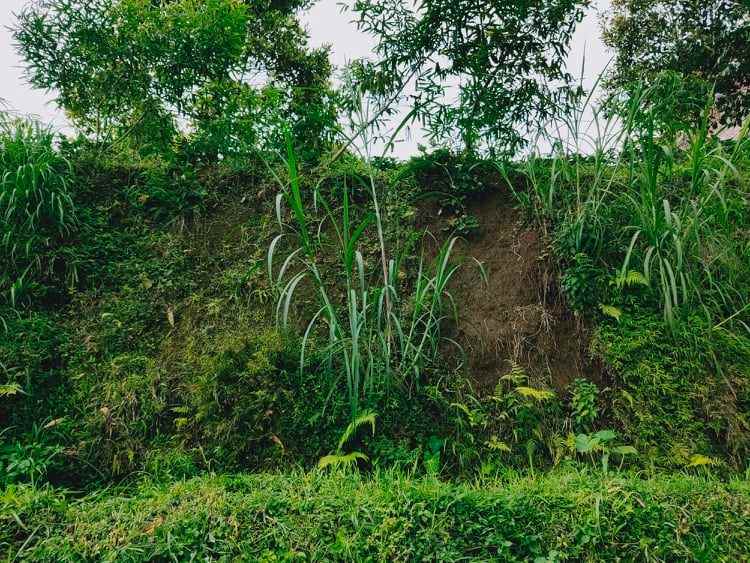 tanah barat pasar kemuning