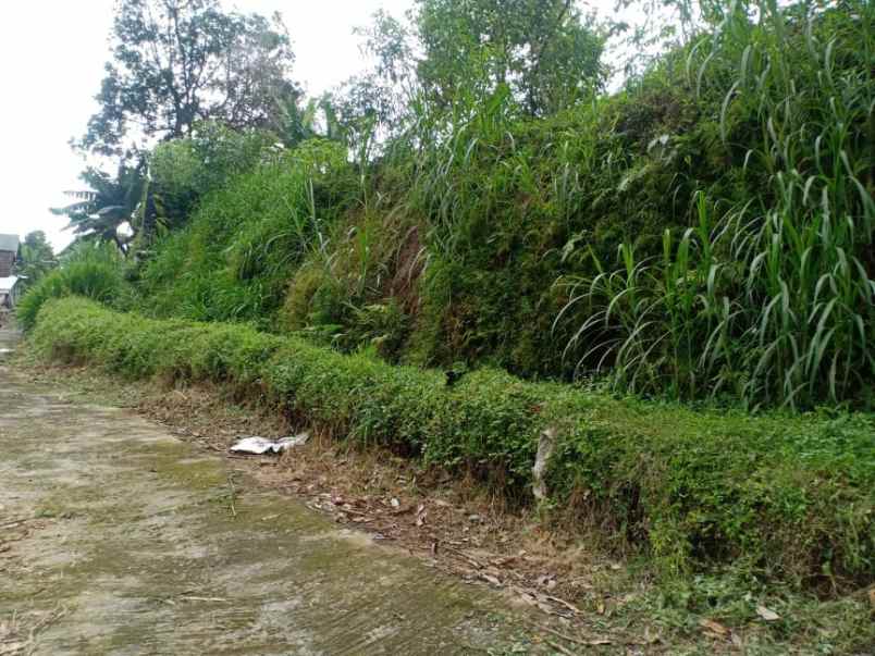 tanah barat pasar kemuning