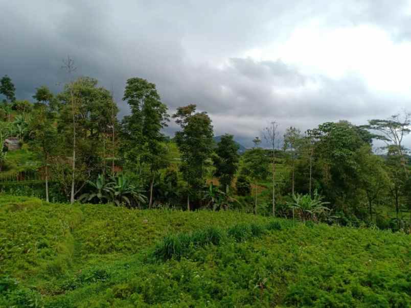 tanah barat pasar kemuning