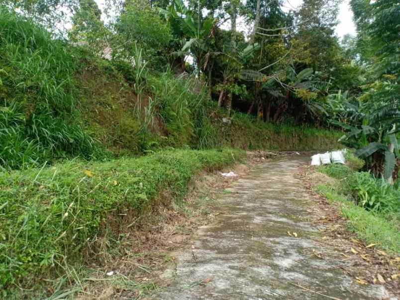 tanah barat pasar kemuning