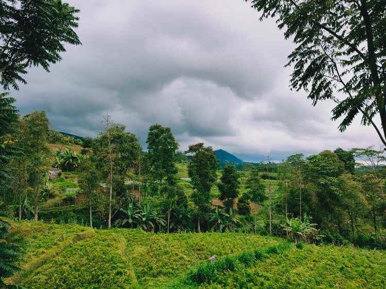 tanah barat pasar kemuning