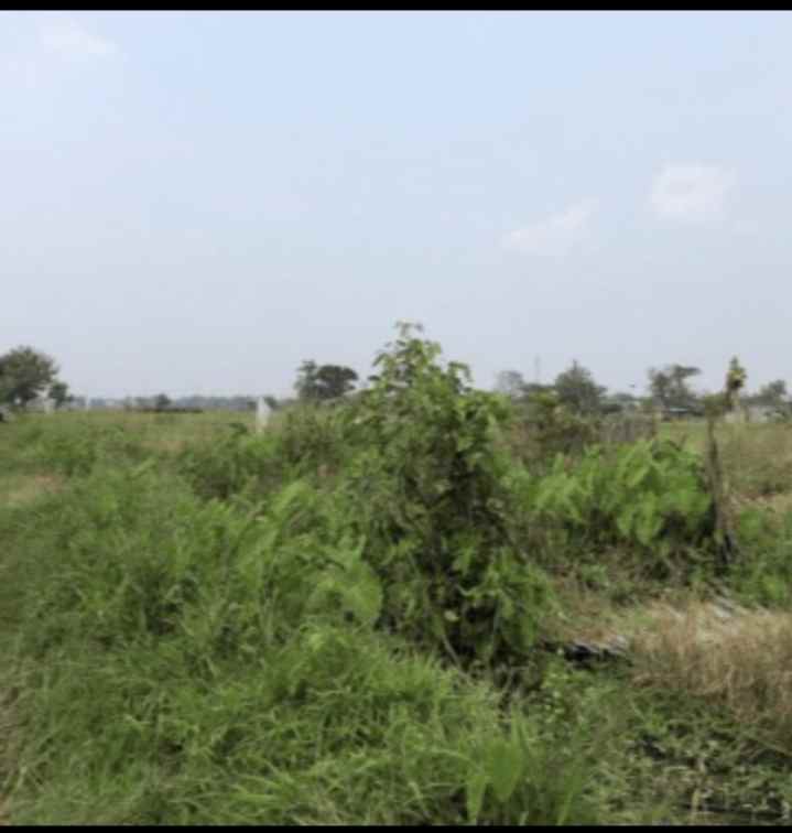tanah bekas kolam murah meriah