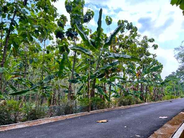 tanah datar murah 175 juta kerjo karanganyar