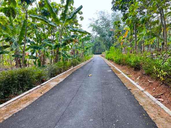 tanah datar murah 175 juta kerjo karanganyar