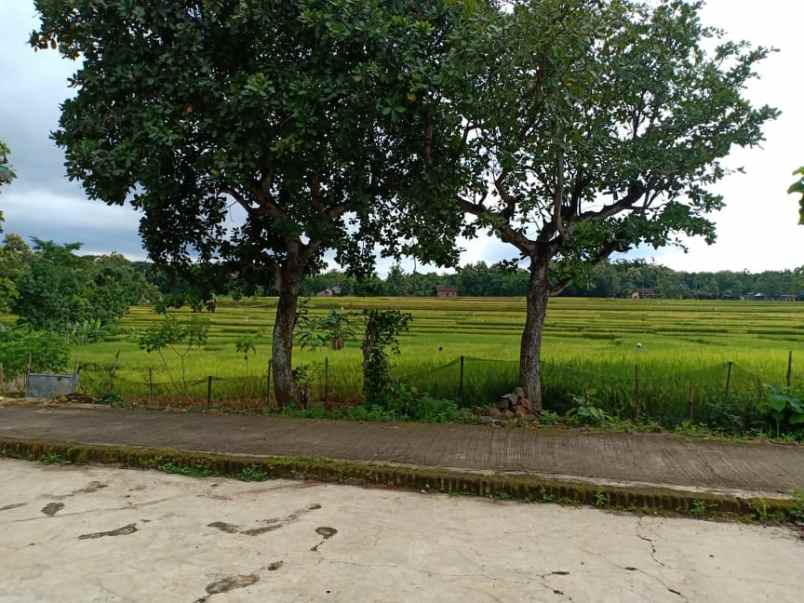 tanah dekat pasar kedawung