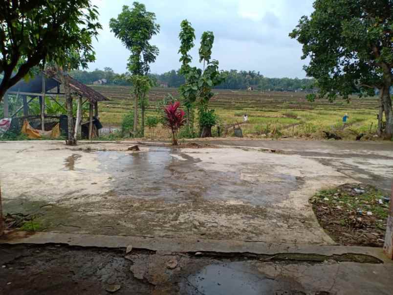 tanah dekat pasar kedawung