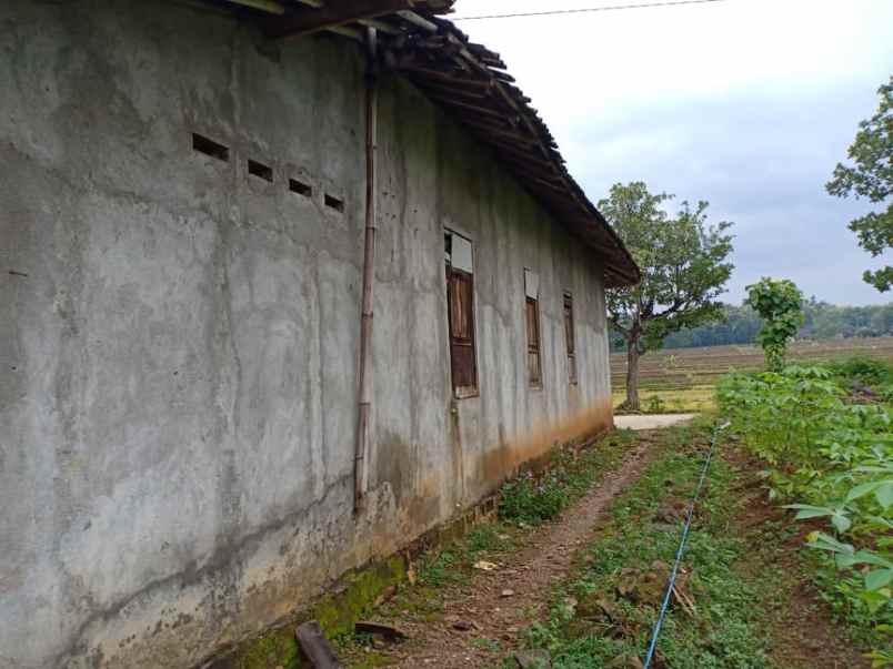tanah dekat pasar kedawung