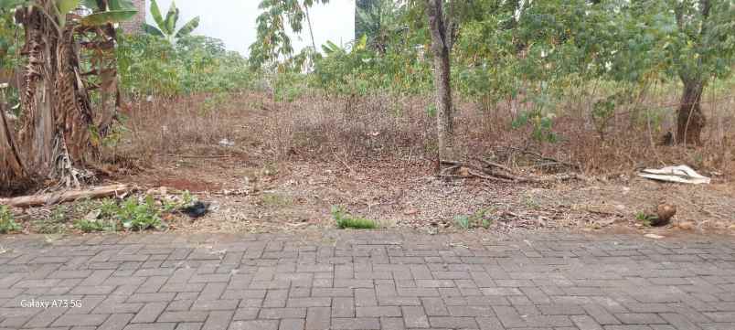 tanah dekat undip mulawarman tembalang