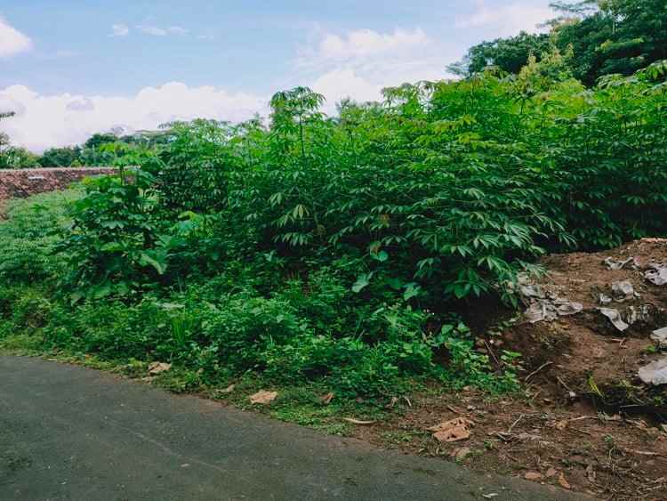 tanah desa wisata kerjo