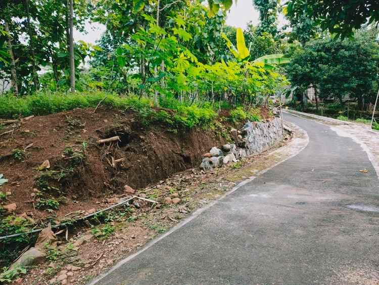 tanah desa wisata kerjo