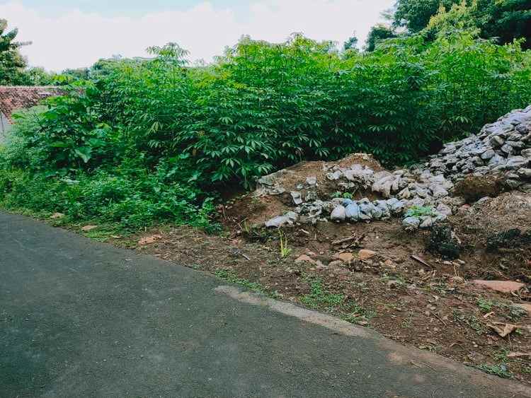 tanah desa wisata kerjo