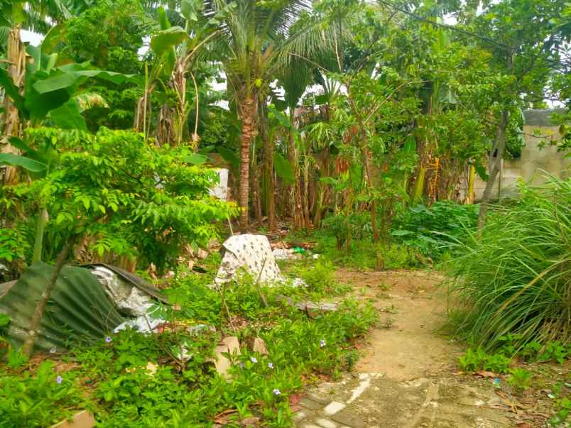 tanah di kampung baru unila 280m shm
