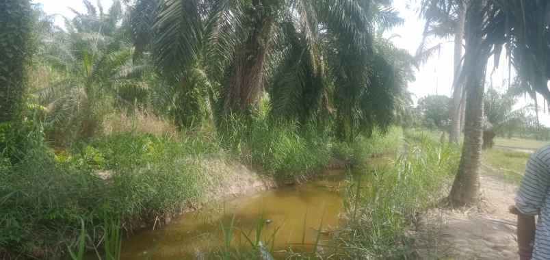 tanah di kawasan kec pantai labu deli serdang