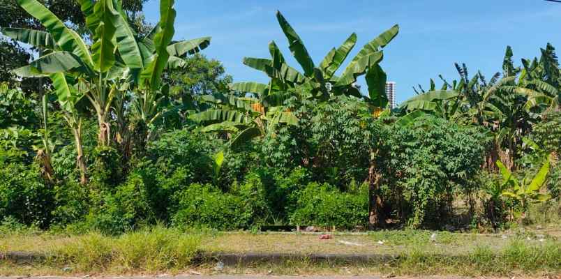 tanah dijual gayungsari surabaya selatan