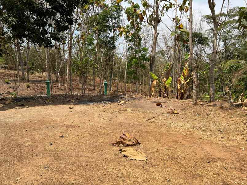 tanah hook 80 juta kerjo karanganyar