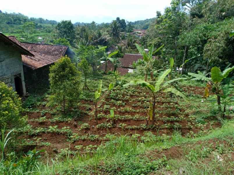 tanah kawasan wisata