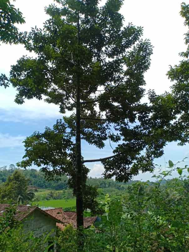 tanah kawasan wisata