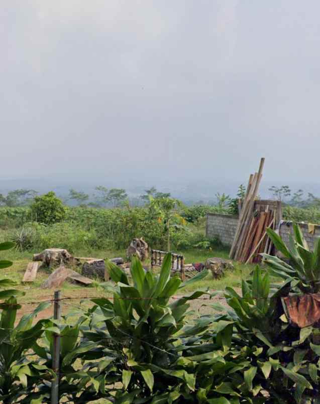 tanah kebun dekat jalan cagak subang