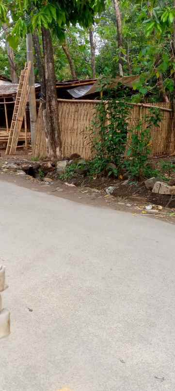 tanah kebun padat pinggir jl raya strategis