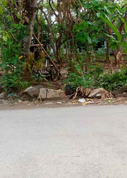 tanah kebun padat pinggir jl raya strategis