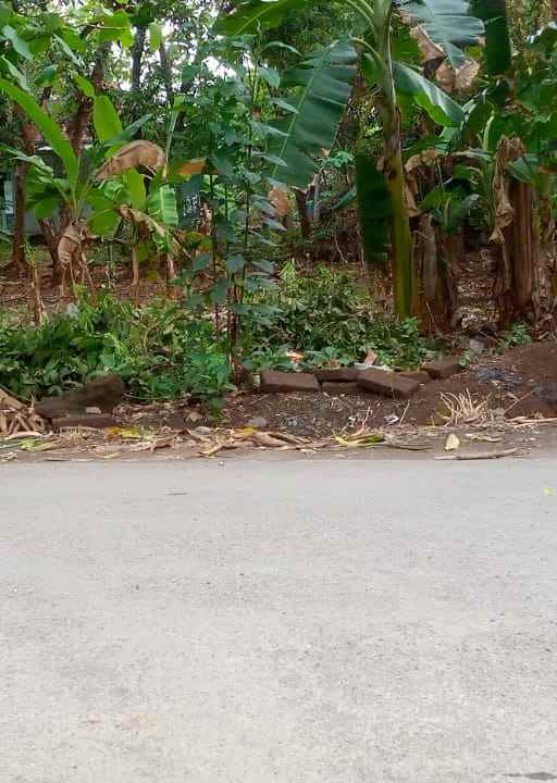 tanah kebun padat pinggir jl raya strategis