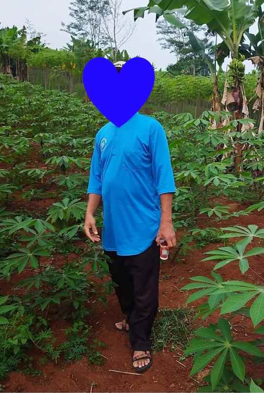 tanah komersial di cipulus harga terbaik