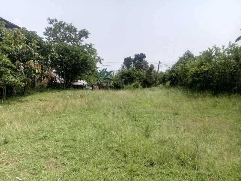 tanah kosong berupa kebun