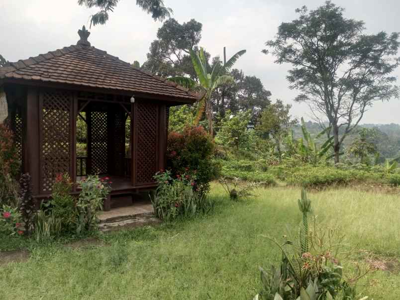 tanah kosong berupa kebun