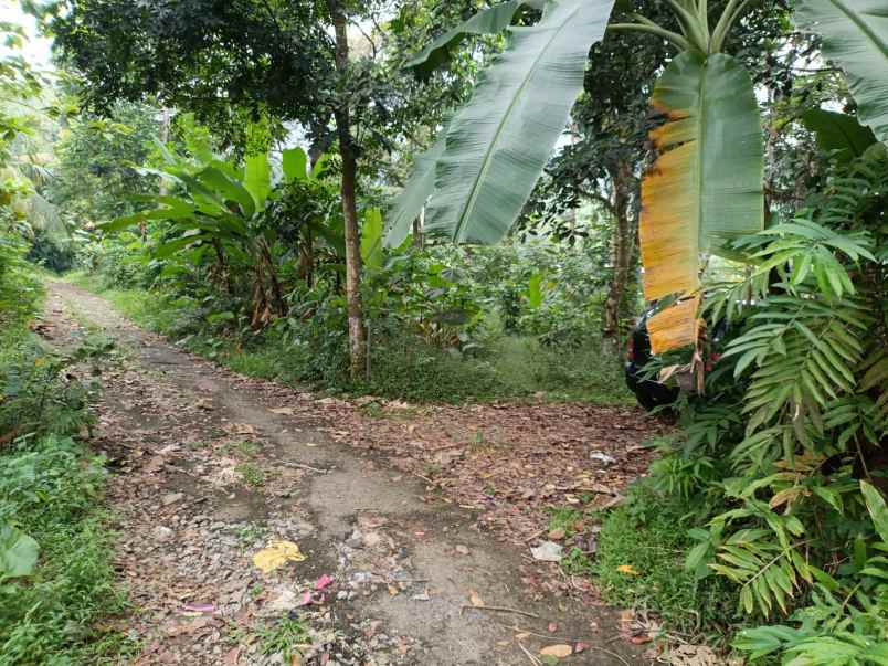 tanah kosong di daerah plered purwakarta