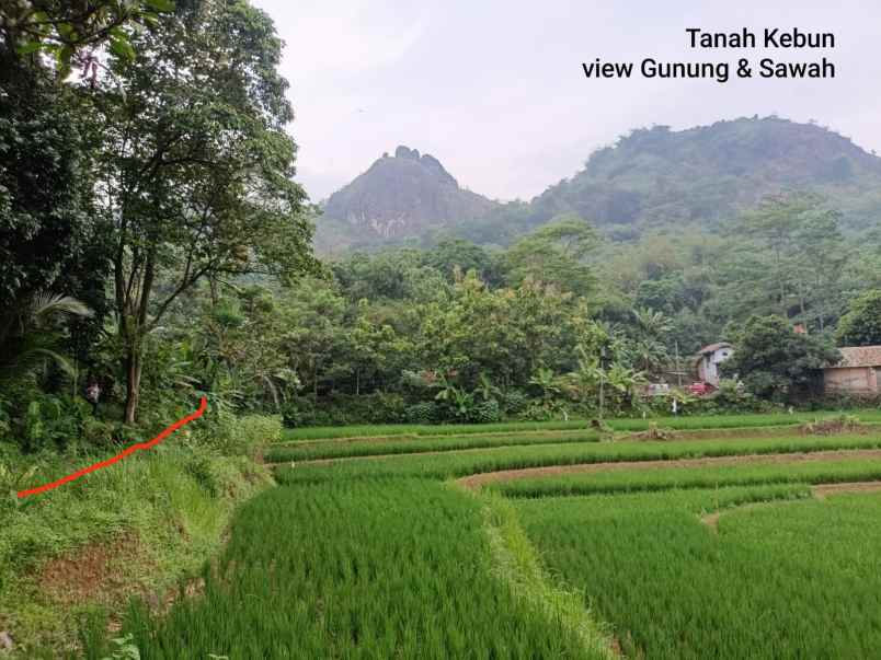 tanah kosong di daerah plered purwakarta