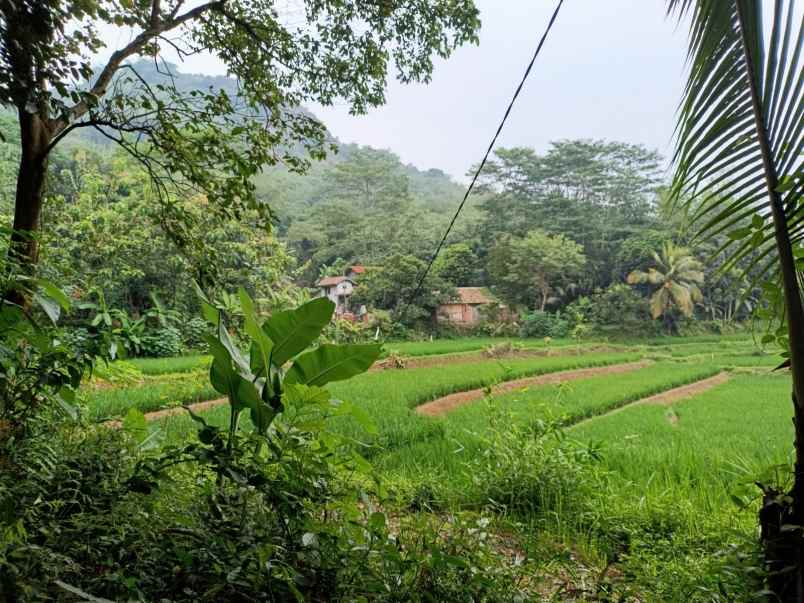tanah kosong di daerah plered purwakarta