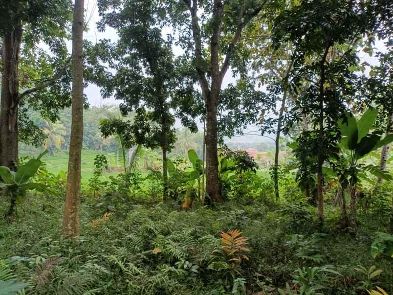 tanah kosong di daerah plered purwakarta