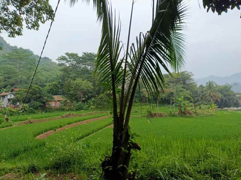 tanah kosong di daerah plered purwakarta