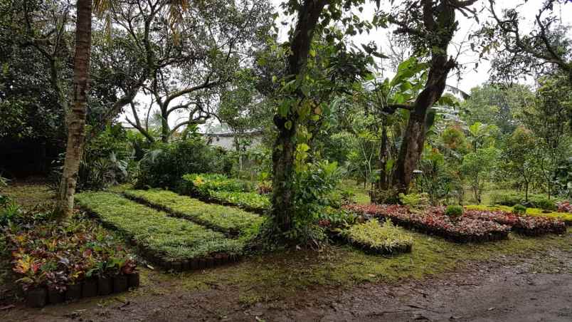 tanah luas 2000m bonus rumah duren seribu depok