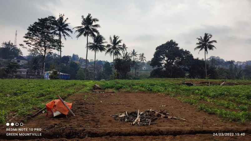 tanah megamendung puncak bogor