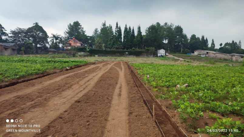 tanah megamendung puncak bogor