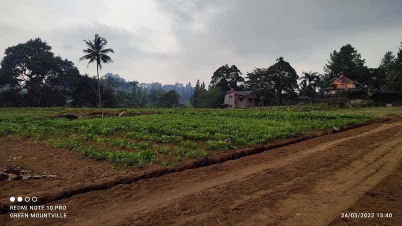 tanah megamendung puncak bogor