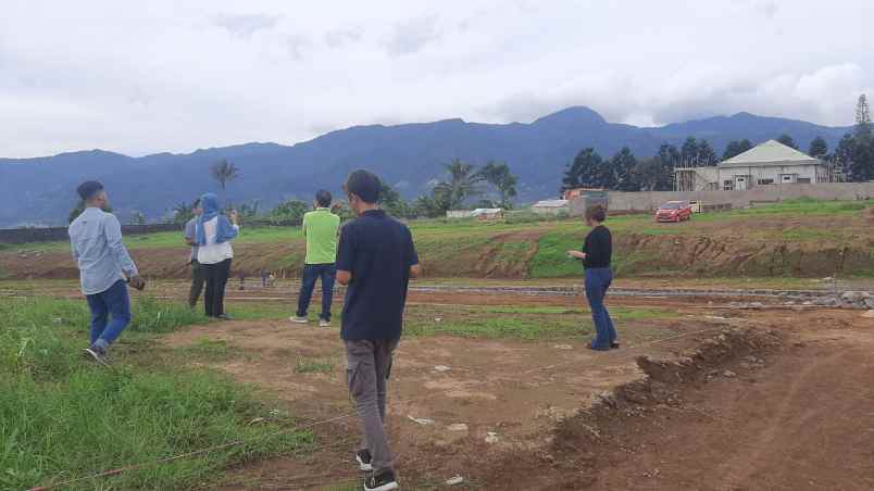 tanah megamendung puncak bogor