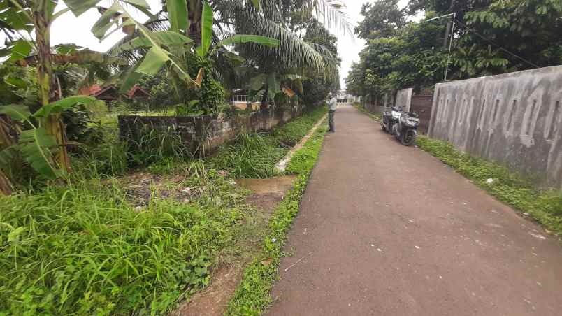 tanah murah dekat ke jalan utama jl raya ciseeng