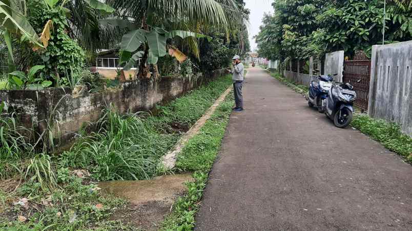 tanah murah dekat ke jalan utama jl raya ciseeng