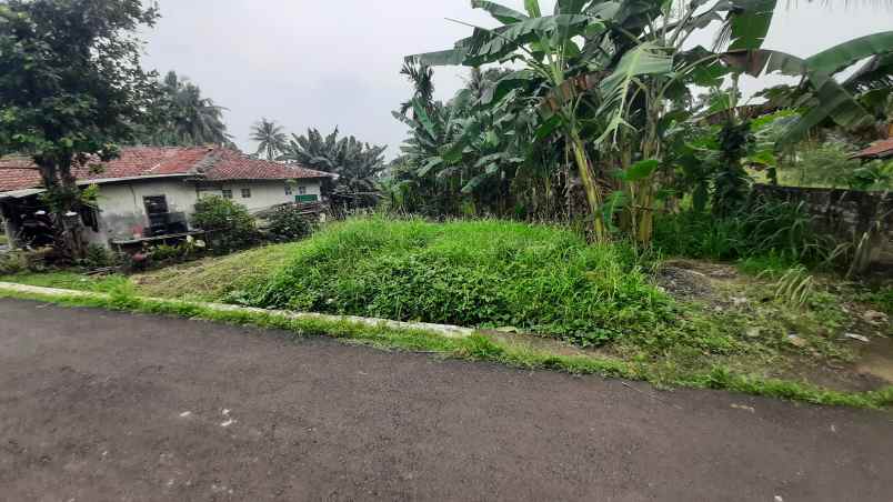 tanah murah dekat ke jalan utama jl raya ciseeng