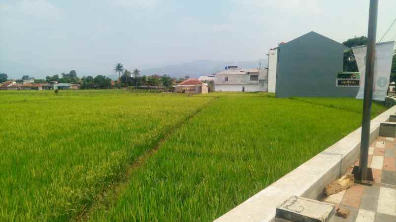 Tanah Murah Jl Al Fathu Pamekaran Soreang Kab Bandung